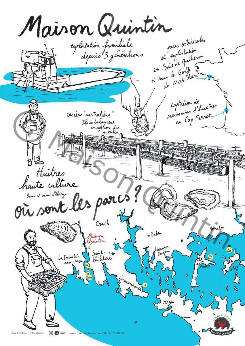 Affiche golfe du morbihan