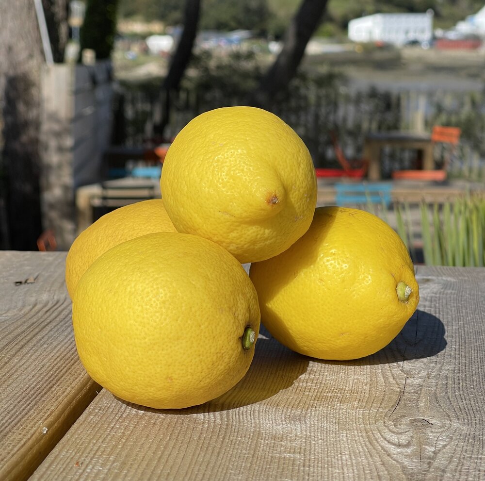 Citron pour huîtres