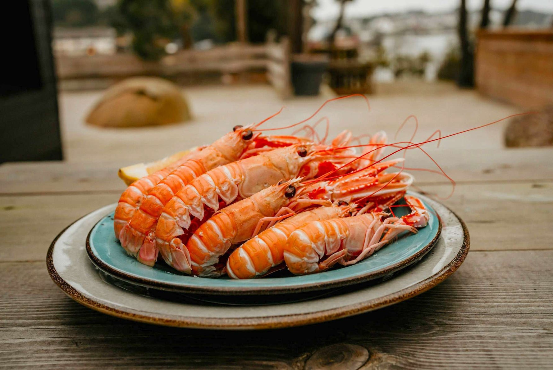 Langoustines cuites
