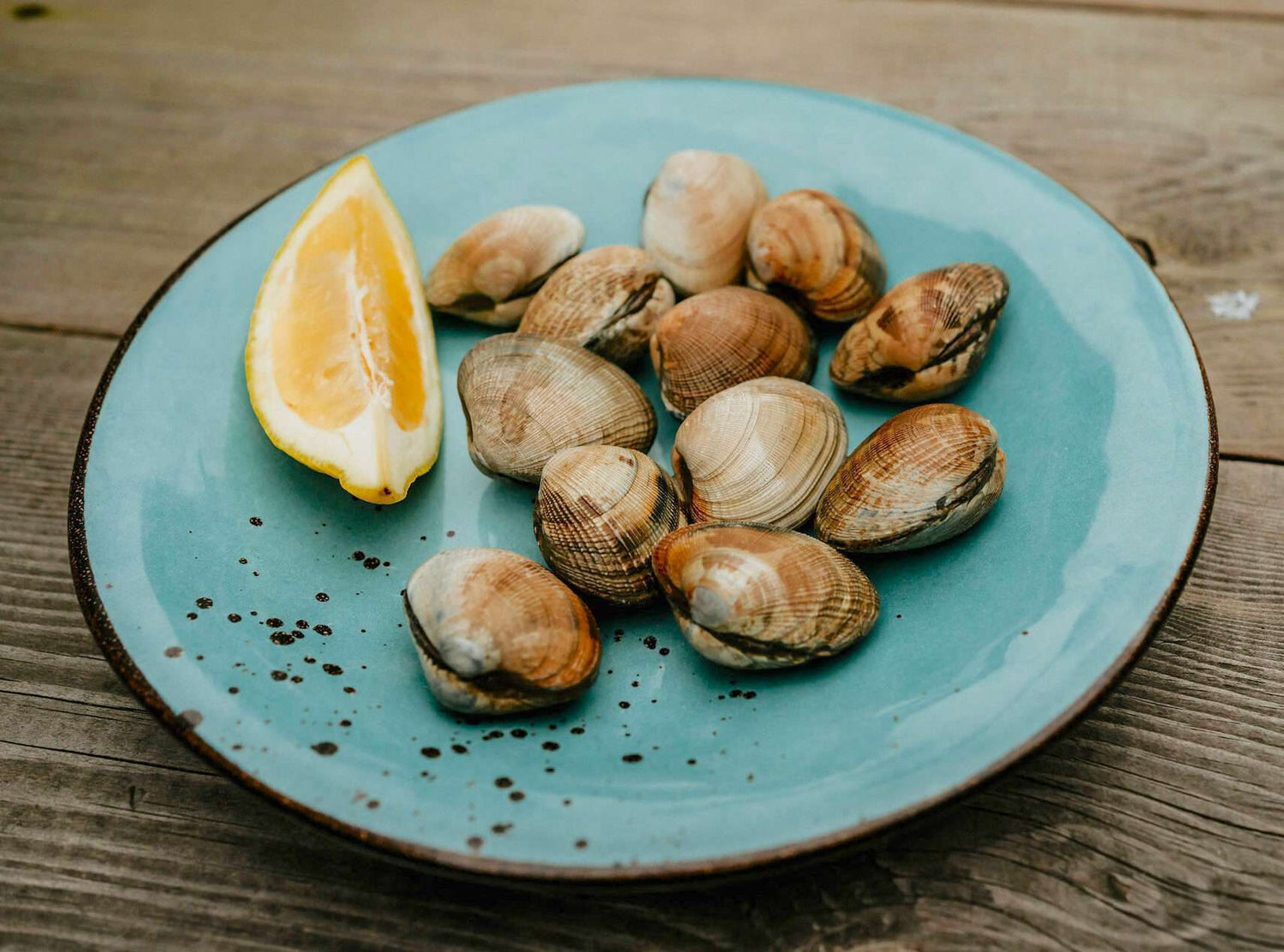 Palourdes en livraison