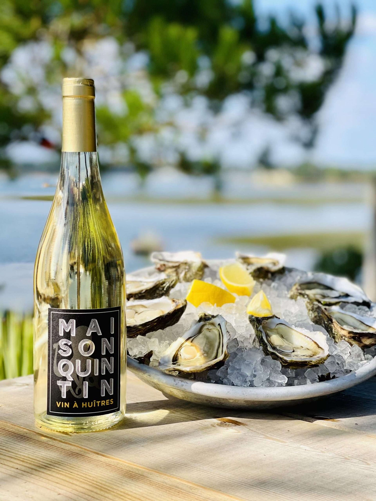 Vin blanc et huitres