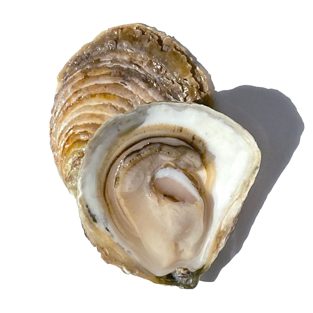 Livraison huitres plates