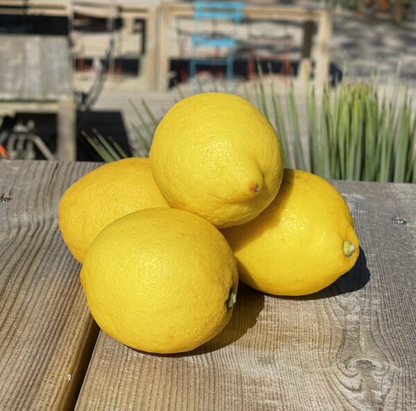 Citrons pour fruits de mer