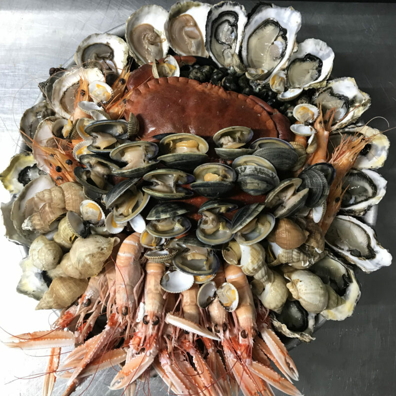 Plateau de fruits de mer traiteur